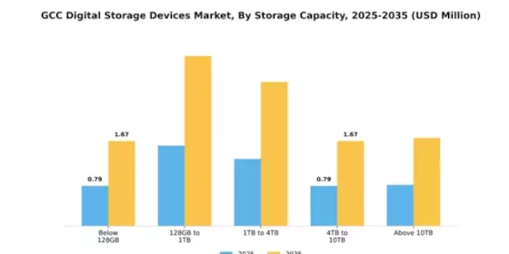GCC Digital Storage Devices Market Segment Image 3