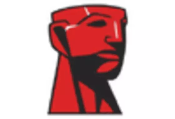 Italy Digital Storage Devices Market key player