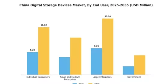 China Digital Storage Devices Market Segment Image 1