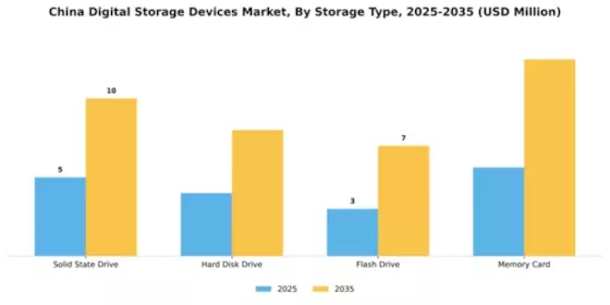 China Digital Storage Devices Market Segment Image 2