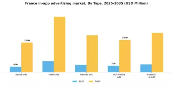 France In App Advertising Market Segment Image 2