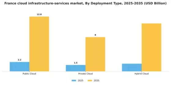 France Cloud Infrastructure Services Market Segment Image 0
