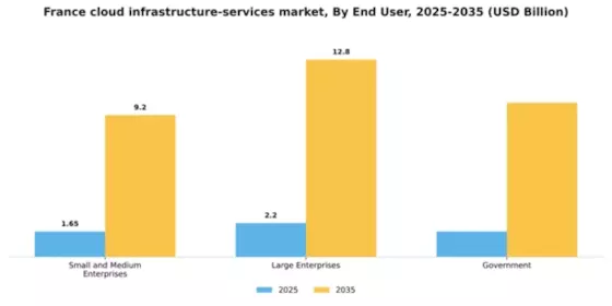 France Cloud Infrastructure Services Market Segment Image 1