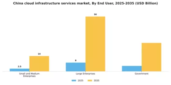 China Cloud Infrastructure Services Market Segment Image 1