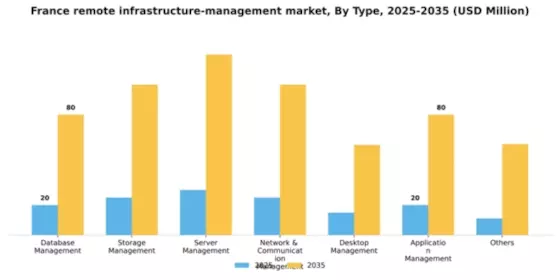 France Remote Infrastructure Management Market Segment Image 1