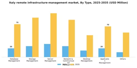 Italy Remote Infrastructure Management Market Segment Image 1