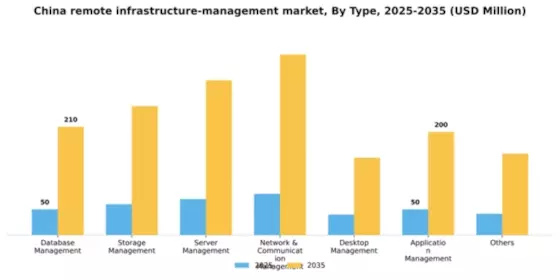 China Remote Infrastructure Management Market Segment Image 1