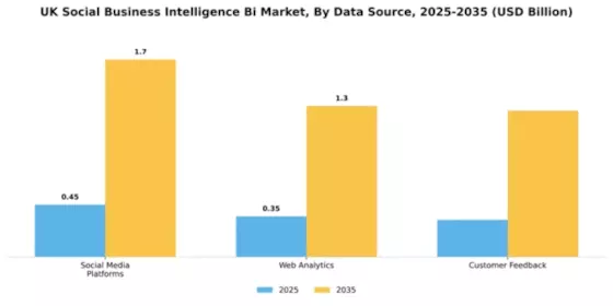 UK Social Business Intelligence Market Segment Image 1