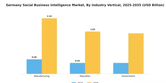 Germany Social Business Intelligence Market Segment Image 3