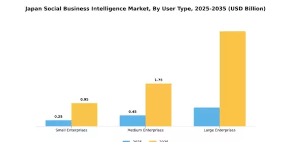 Japan Social Business Intelligence Market Segment Image 3
