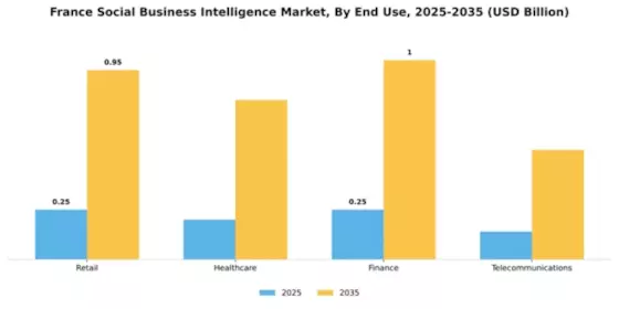 France Social Business Intelligence Market Segment Image 2