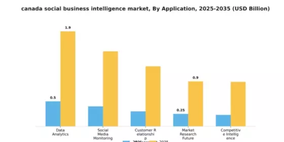 Canada Social Business Intelligence Market Segment Image 0