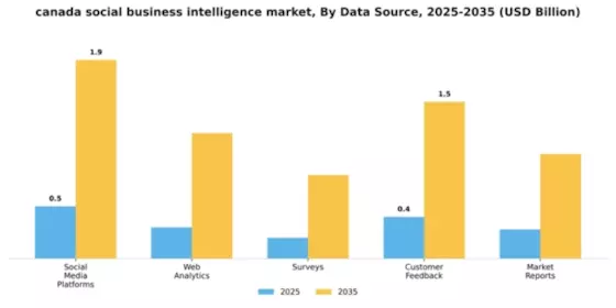 Canada Social Business Intelligence Market Segment Image 1