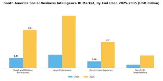 South America Social Business Intelligence Market Segment Image 2