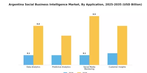 Argentina Social Business Intelligence Market Segment Image 0