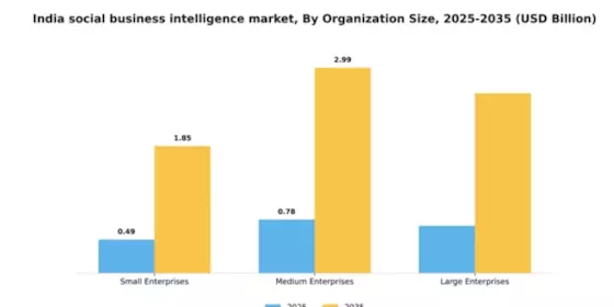 India Social Business Intelligence Market Segment Image 4