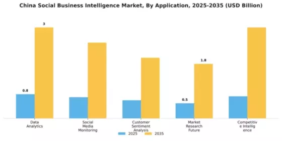 China Social Business Intelligence Market Segment Image 0