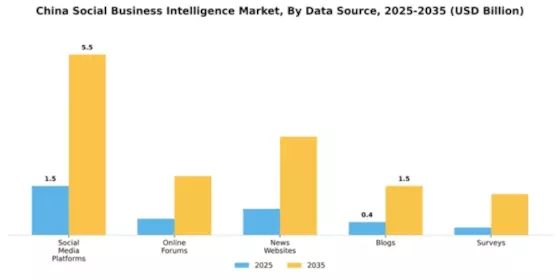 China Social Business Intelligence Market Segment Image 1