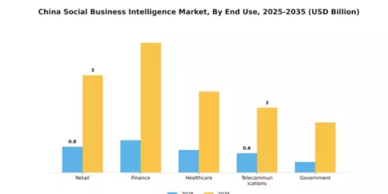 China Social Business Intelligence Market Segment Image 3