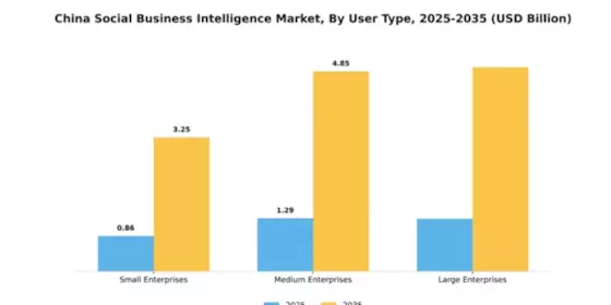 China Social Business Intelligence Market Segment Image 4