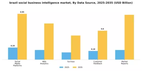 Brazil Social Business Intelligence Market Segment Image 1
