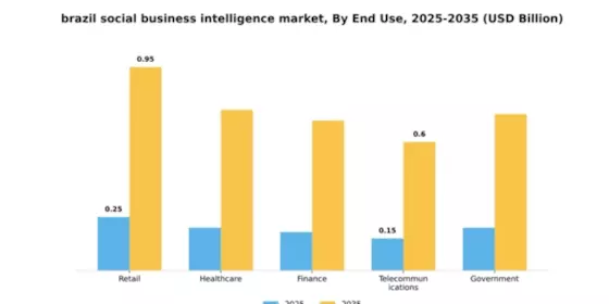 Brazil Social Business Intelligence Market Segment Image 3