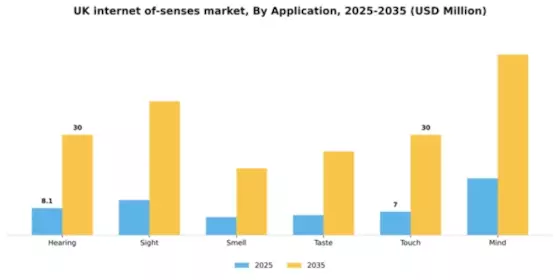 UK Internet Of Senses Market Segment Image 0