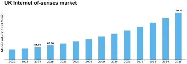UK Internet Of Senses Market Size