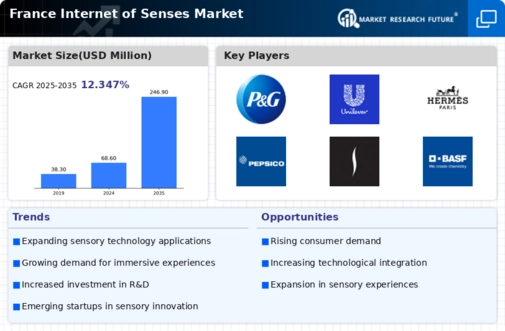 France Internet Of Senses Market Infographic