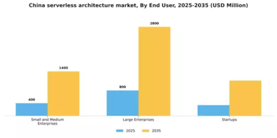 China Serverless Architecture Market Segment Image 2