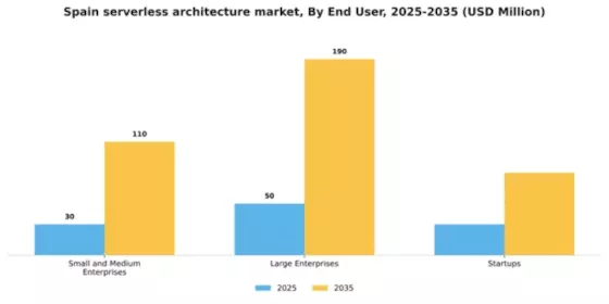 Spain Serverless Architecture Market Segment Image 2