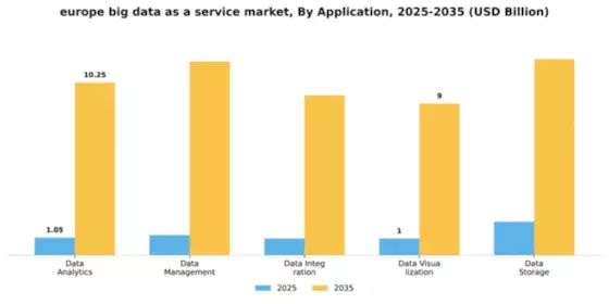 Europe Big Data As A Service Market Segment Image 0