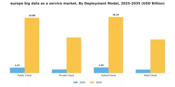 Europe Big Data As A Service Market Segment Image 1