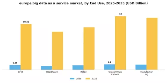 Europe Big Data As A Service Market Segment Image 2