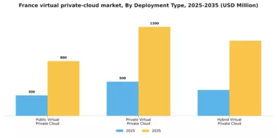 France Virtual Private Cloud Market Segment Image 1