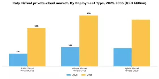 Italy Virtual Private Cloud Market Segment Image 1