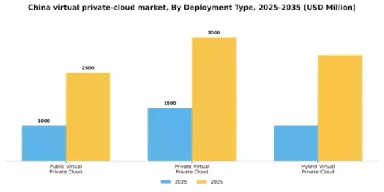 China Virtual Private Cloud Market Segment Image 1