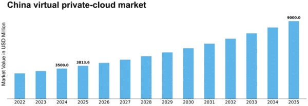 China Virtual Private Cloud Market Size