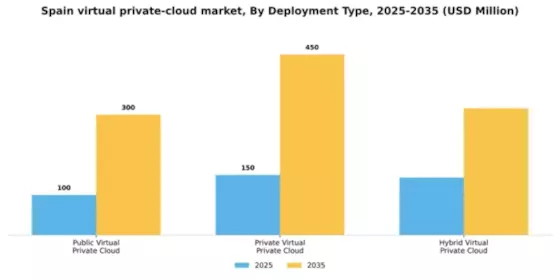 Spain Virtual Private Cloud Market Segment Image 1
