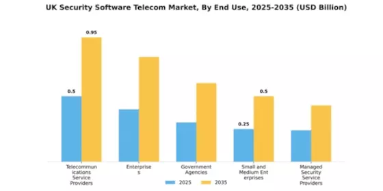 UK Security Software Telecom Market Segment Image 2
