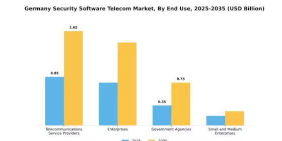 Germany Security Software Telecom Market Segment Image 2