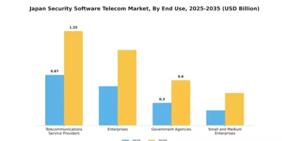 Japan Security Software Telecom Market Segment Image 2