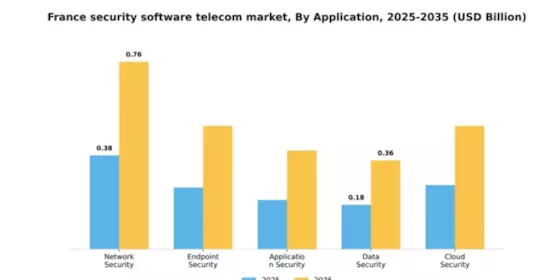France Security Software Telecom Market Segment Image 0