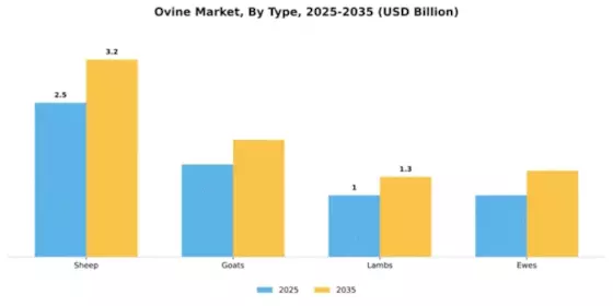 Middle East Ovine Market  Segment Image 3