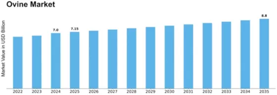 Middle East Ovine Market  Size