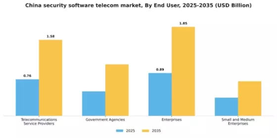China Security Software Telecom Market Segment Image 3