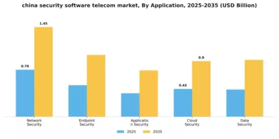 China Security Software Telecom Market Segment Image 0
