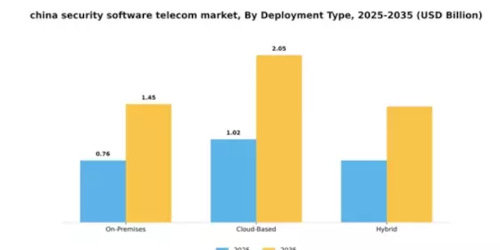China Security Software Telecom Market Segment Image 1