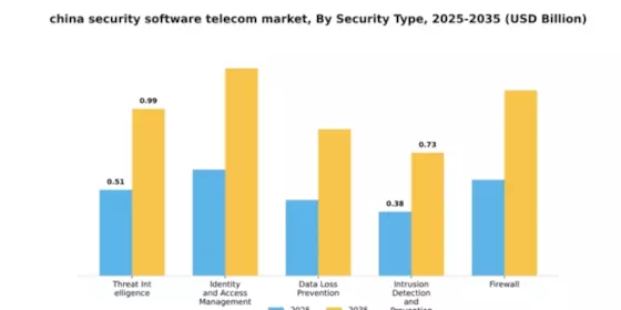 China Security Software Telecom Market Segment Image 3