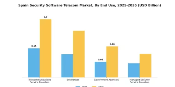 Spain Security Software Telecom Market Segment Image 2